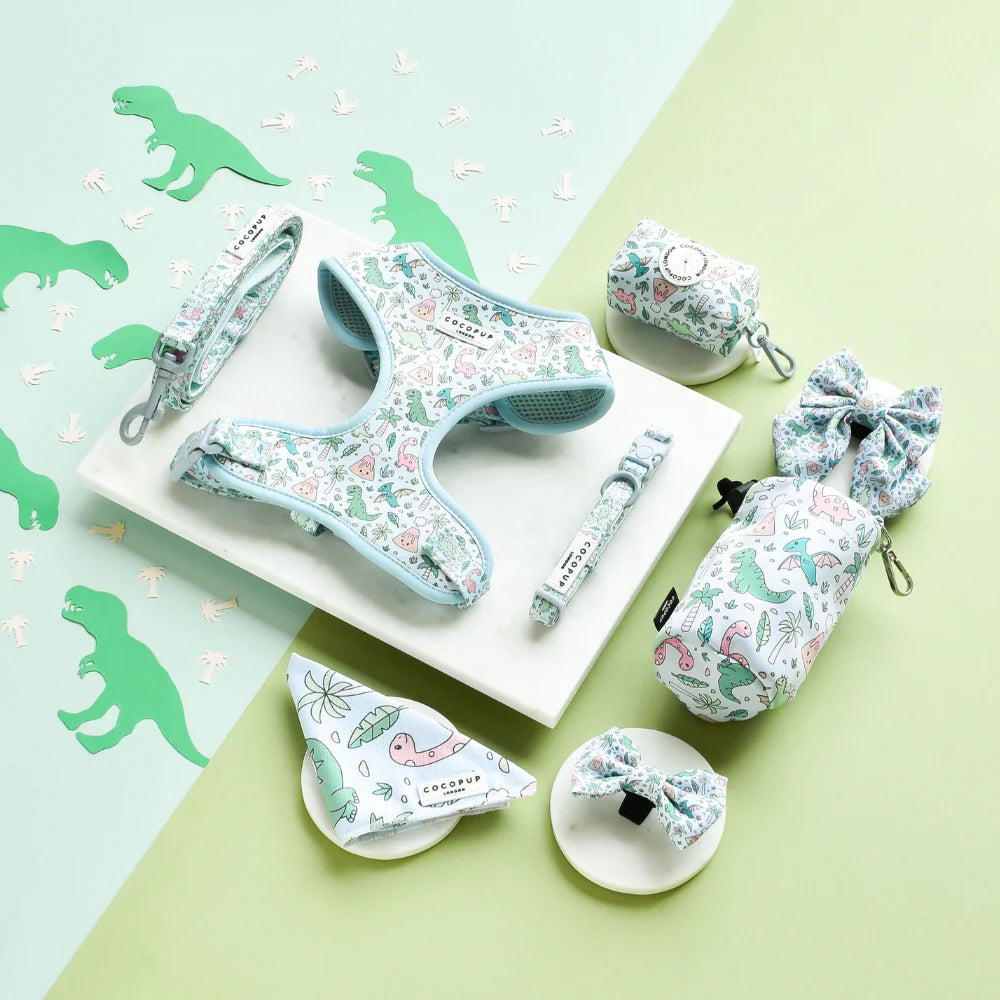 Cocopup London – Bow Tie – DinoPaws