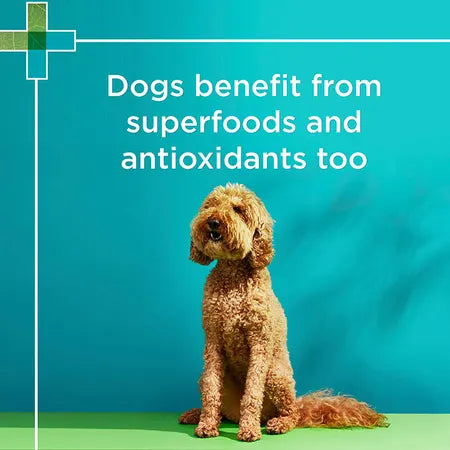 PAW by Blackmores Wellness + Vitality Multivitamin Chews
