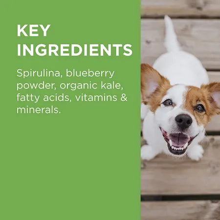 PAW by Blackmores Wellness + Vitality Multivitamin Chews