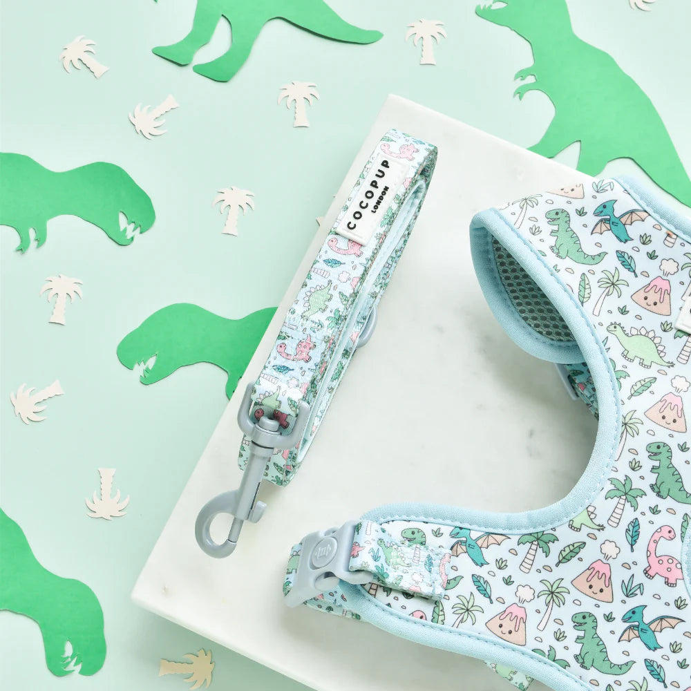 Cocopup London – Dog Collar – DinoPaws