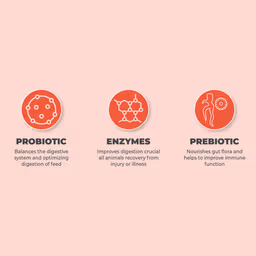Vetafarm – Synbiotic 180-S
