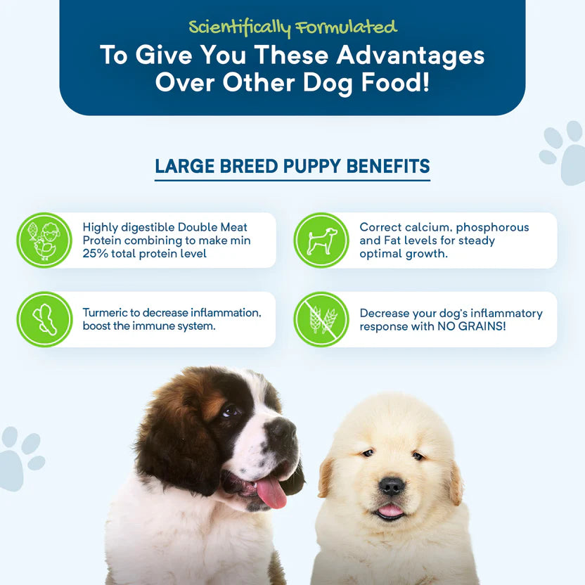 Stay Loyal – Large Breed Puppy – GRAIN FREE