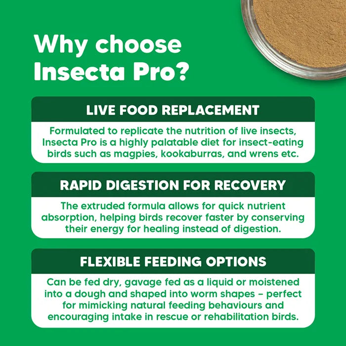 Vetafarm – Insecta-Pro – Bird