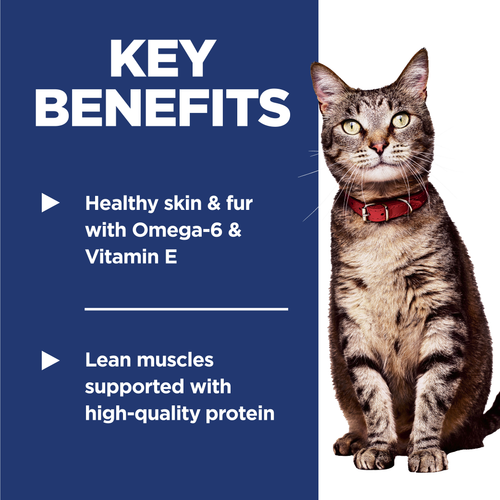 Hill’s – Science Diet – Adult Cat (1-6)