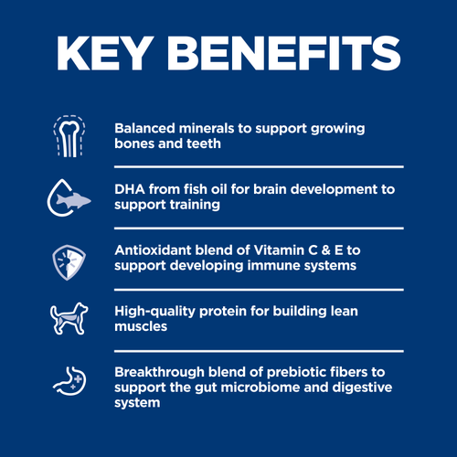 Hill’s – Science Diet – Puppy – Small Bites