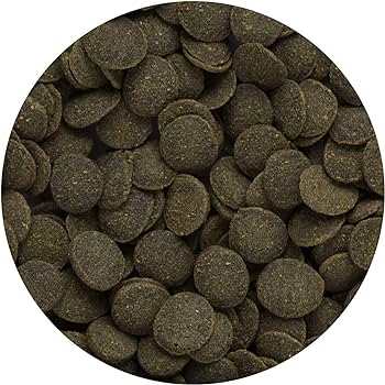Hikari – Algae Wafers