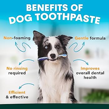 PetzPark – Toothpaste – For Dogs - Barkn Bargains