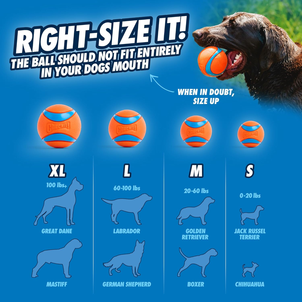 Chuckit! – Whistler Ball - Barkn Bargains