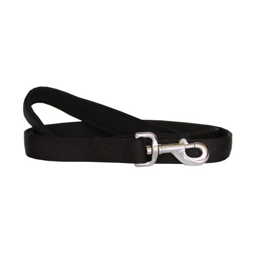 Beau Pets – Neoprene Handle Nylon Lead