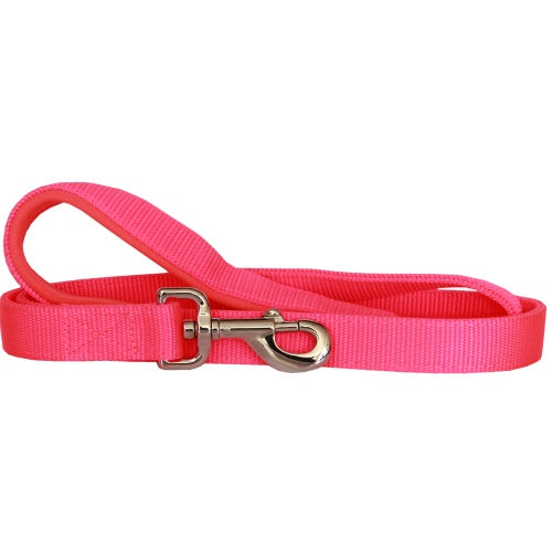 Beau Pets – Neoprene Handle Nylon Lead