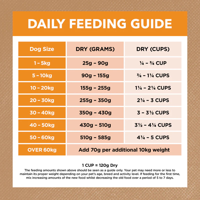 Ivory Coat – Adult Dog – GRAIN FREE – Chicken