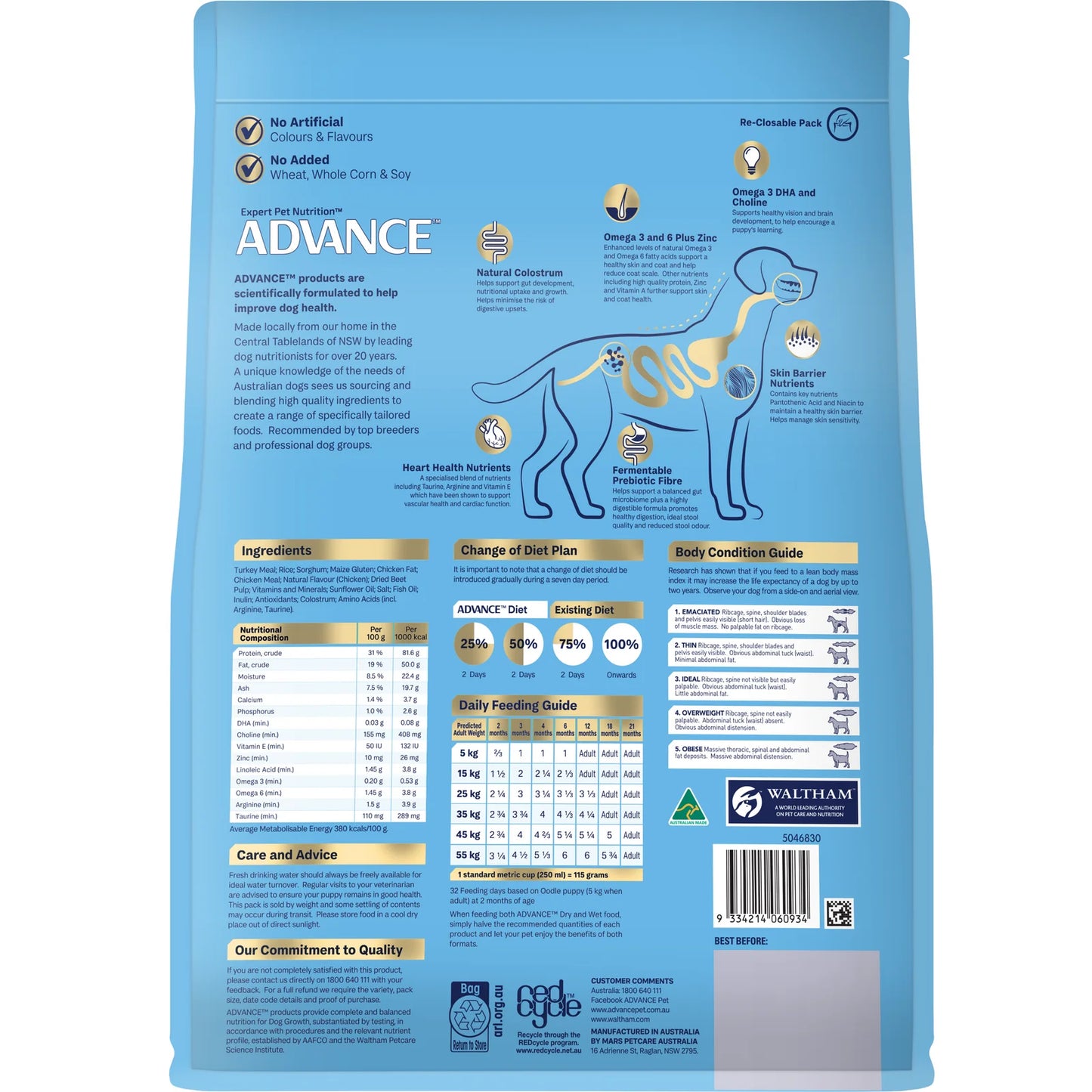 Advance - Puppy - Oodles
