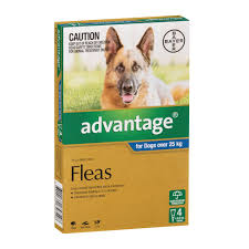 Advantage Fleas – Dogs over 25kg