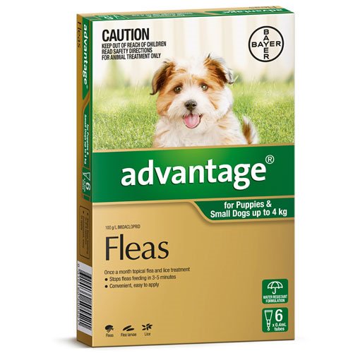 Advantage Fleas – Puppies & Small Dogs up to 4kg