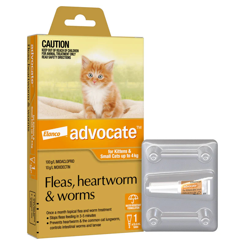 Advocate – Kittens/Cats – Fleas, Heartworm & Worms – 1 Tube - Barkn Bargains