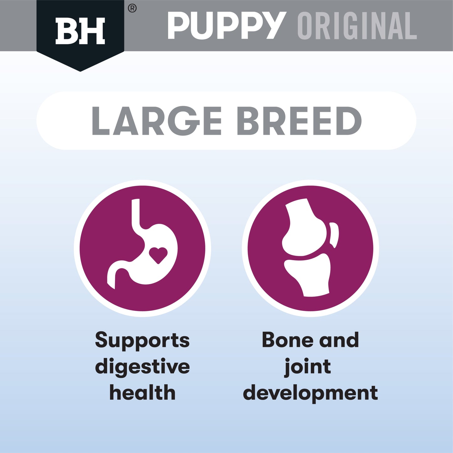 Black Hawk – Puppy – Large Breed – Lamb & Rice