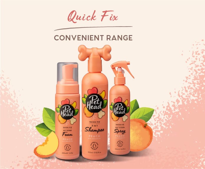 Pet Head - Quick Fix - Barkn Bargains