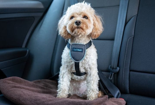 CarSafe – Travel Harness