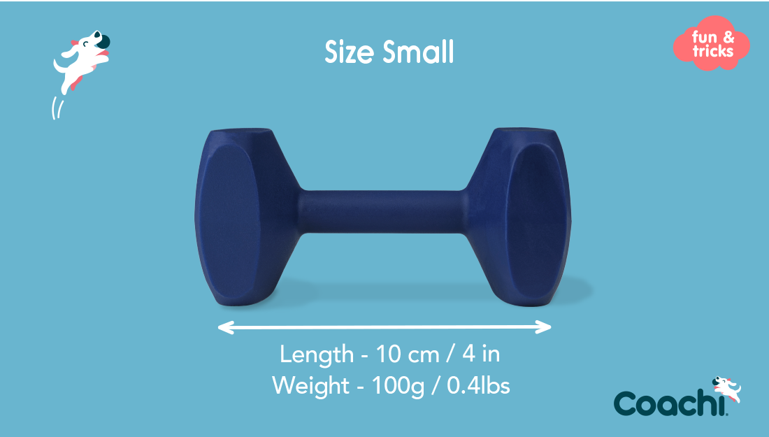 Company of Animals – Coachi – Training Dumbbell - Barkn Bargains