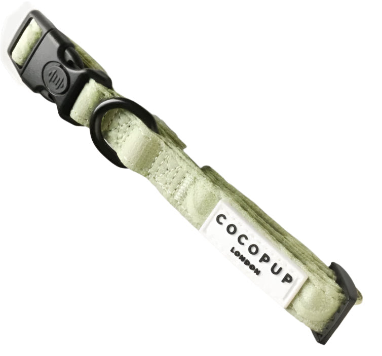 Cocopup London – LUXE Dog Collar – Sage Heart