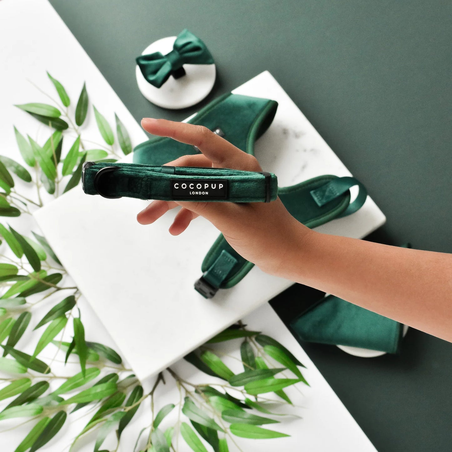 Cocopup London – LUXE Dog Collar – Forest Green Velvet