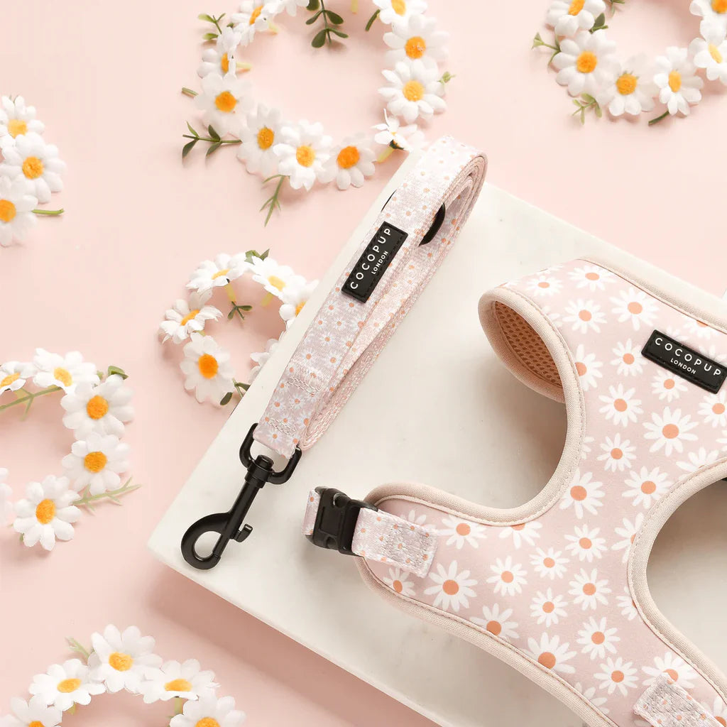 Cocopup London – Dog Collar – Daisy Chain