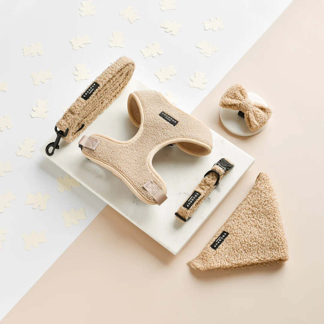 Cocopup London – Bow Tie – Teddy Rupert