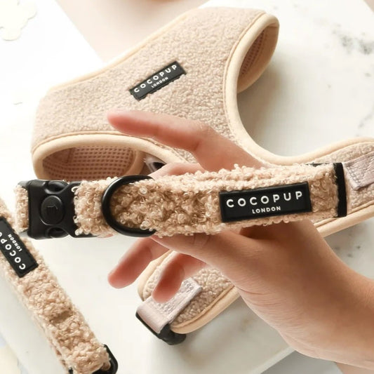 Cocopup London – Dog Collar – Teddy Rupert