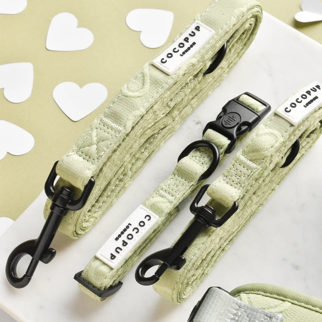 Cocopup London – LUXE Dog Collar – Sage Heart