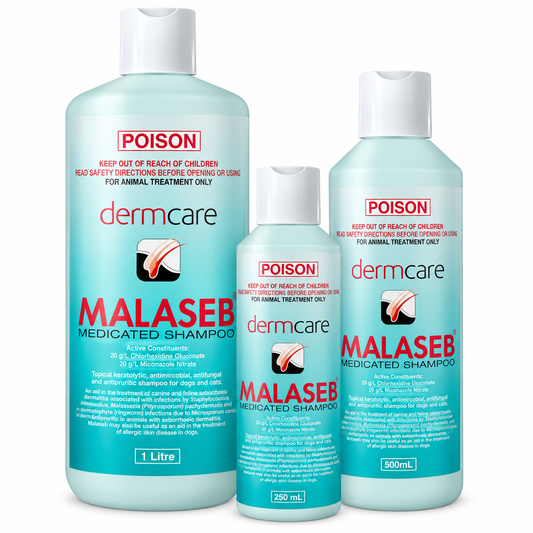 Dermcare – Malaseb – Medicated Shampoo