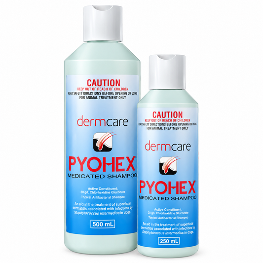 Dermcare – Pyohex Medicated Shampoo
