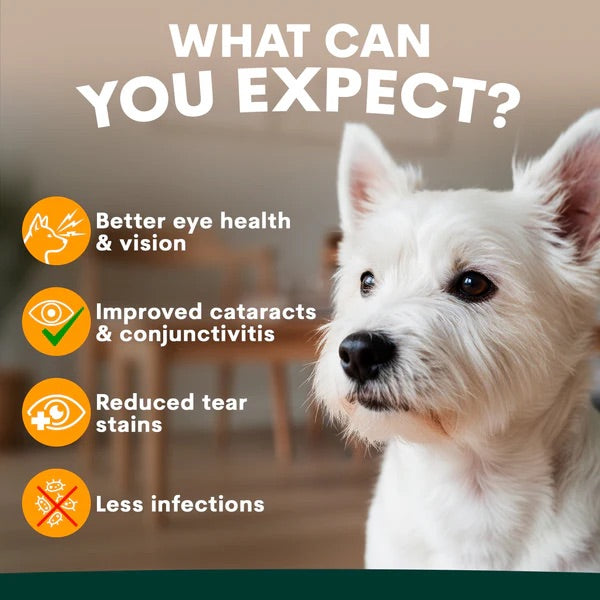 PetzPark – Eye Support – For Dogs