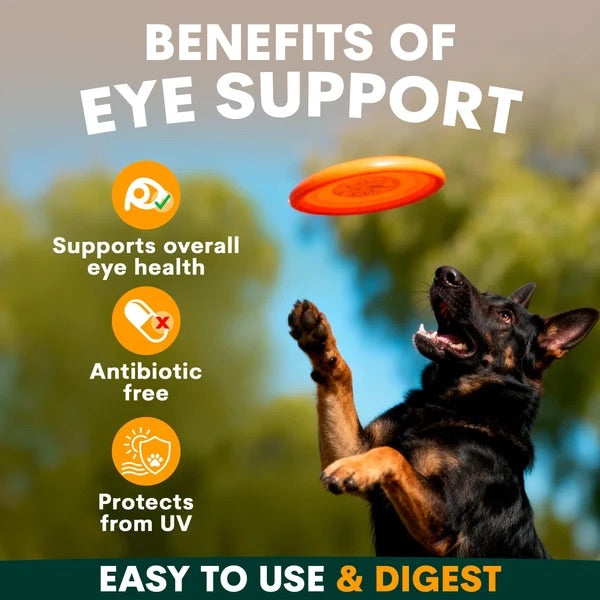 PetzPark – Eye Support – For Dogs