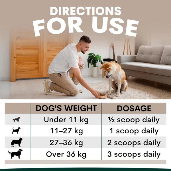 PetzPark – Eye Support – For Dogs