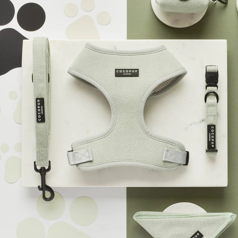 Cocopup London – Dog Collar – Sage Tweed
