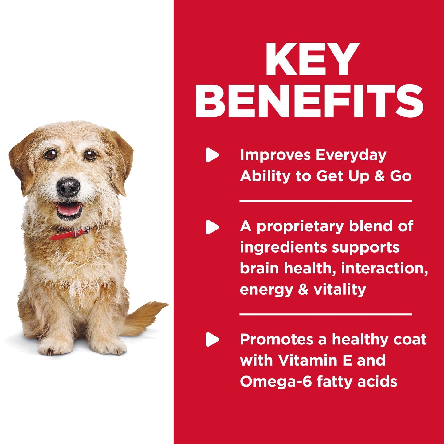 Hill’s – Science Diet – Adult Dog (7+) – Senior Vitality – Small & Mini