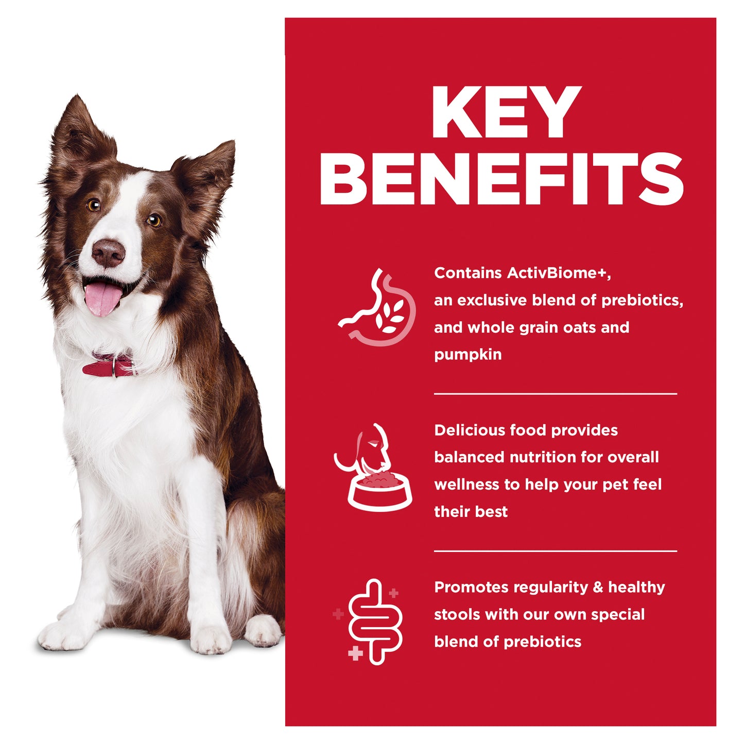 Hill’s – Science Diet – Adult Dog (1-6) – Perfect Digestion