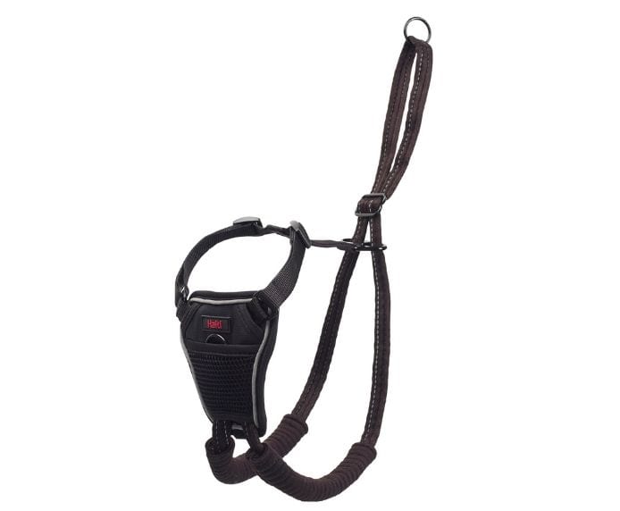 Company of Animals – Halti - No Pull Harness