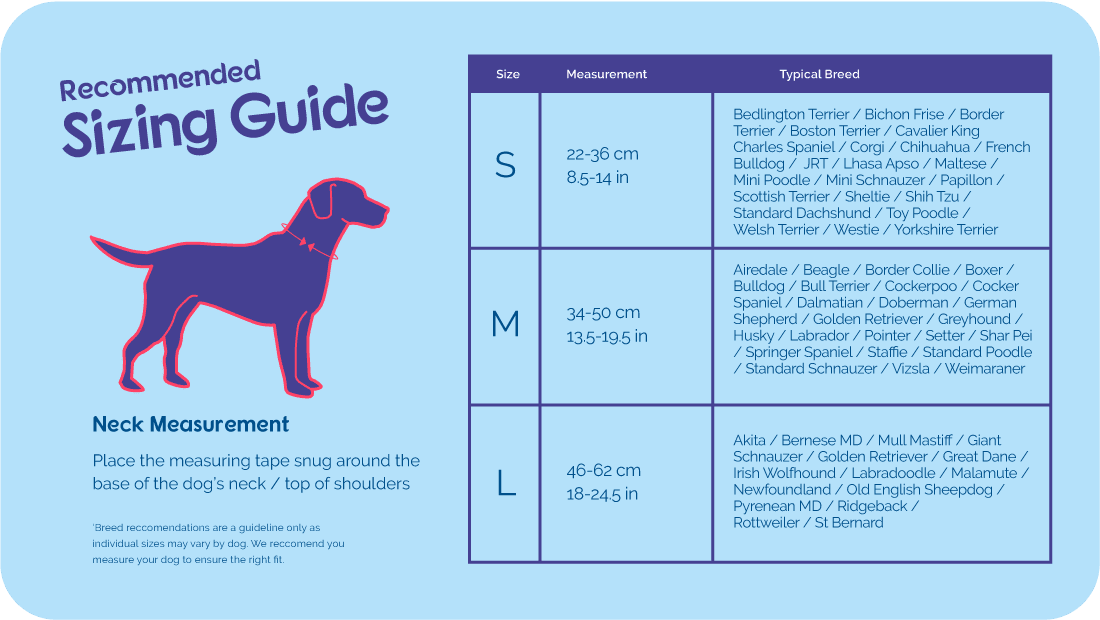 Company of Animals – Halti - No Pull Harness