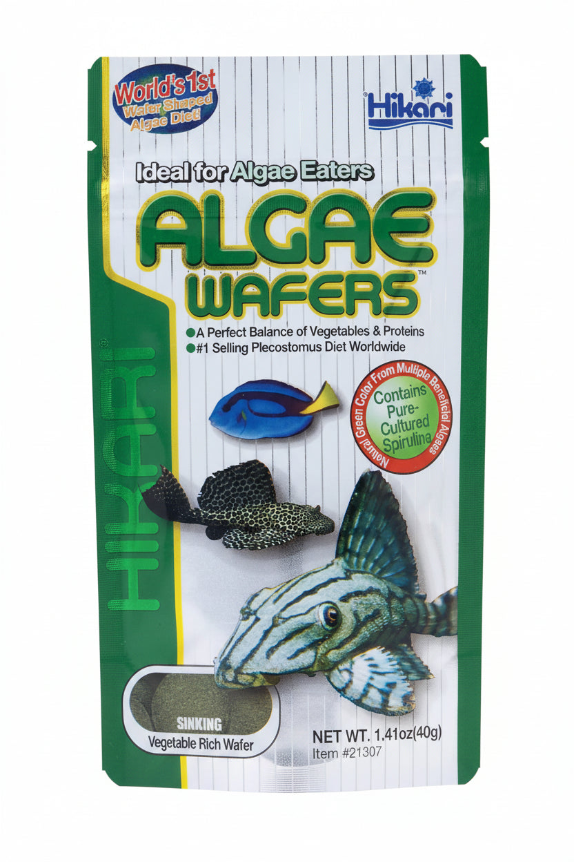 Hikari – Algae Wafers
