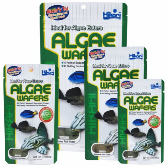 Hikari – Algae Wafers