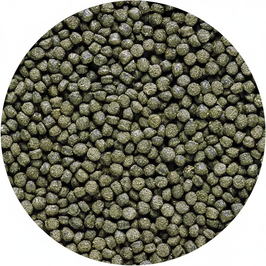 Hikari – Cichlid Excel – Sinking