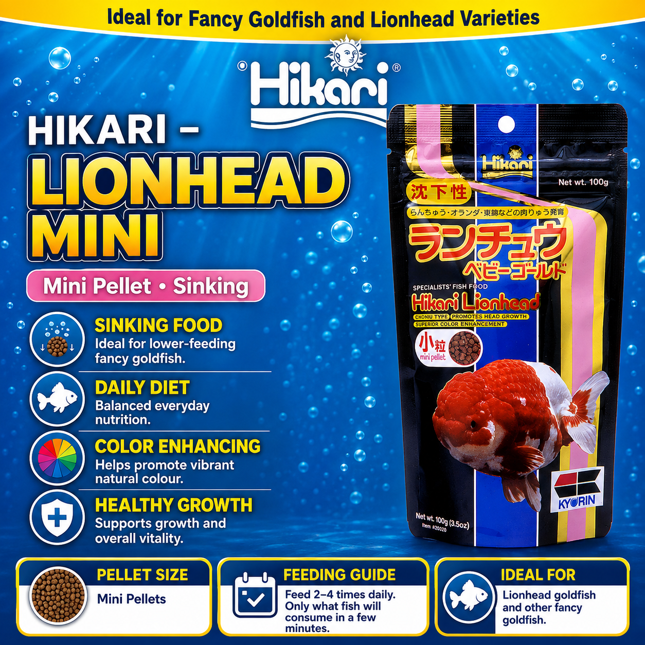 Hikari – Lionhead Mini