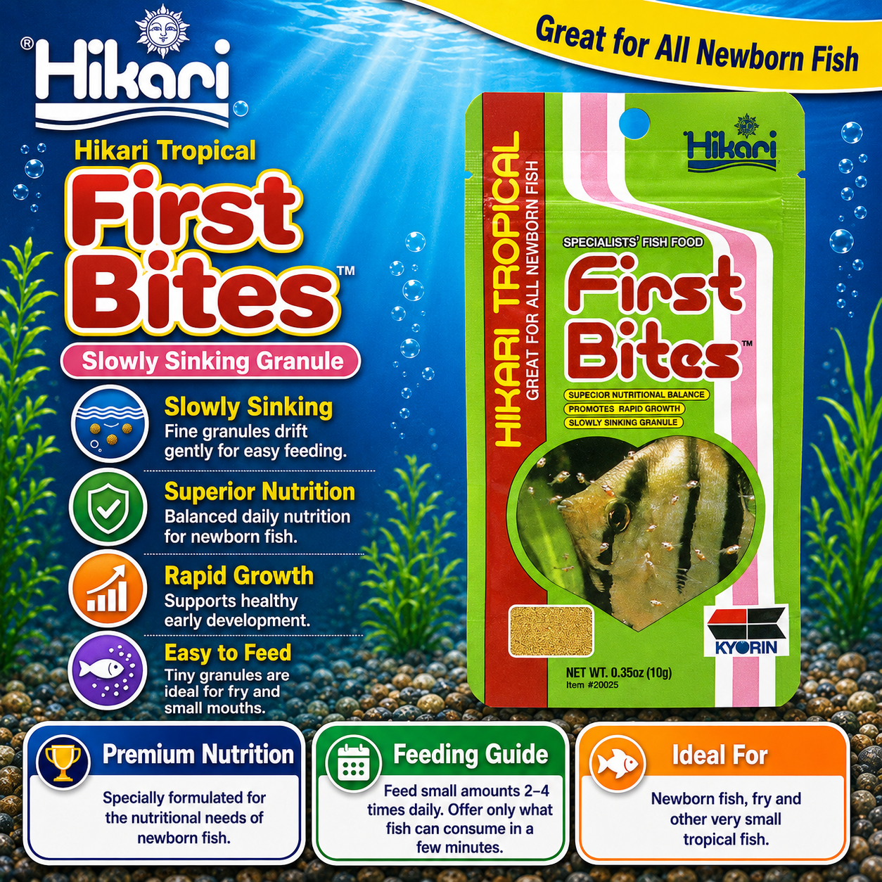 Hikari – First Bites
