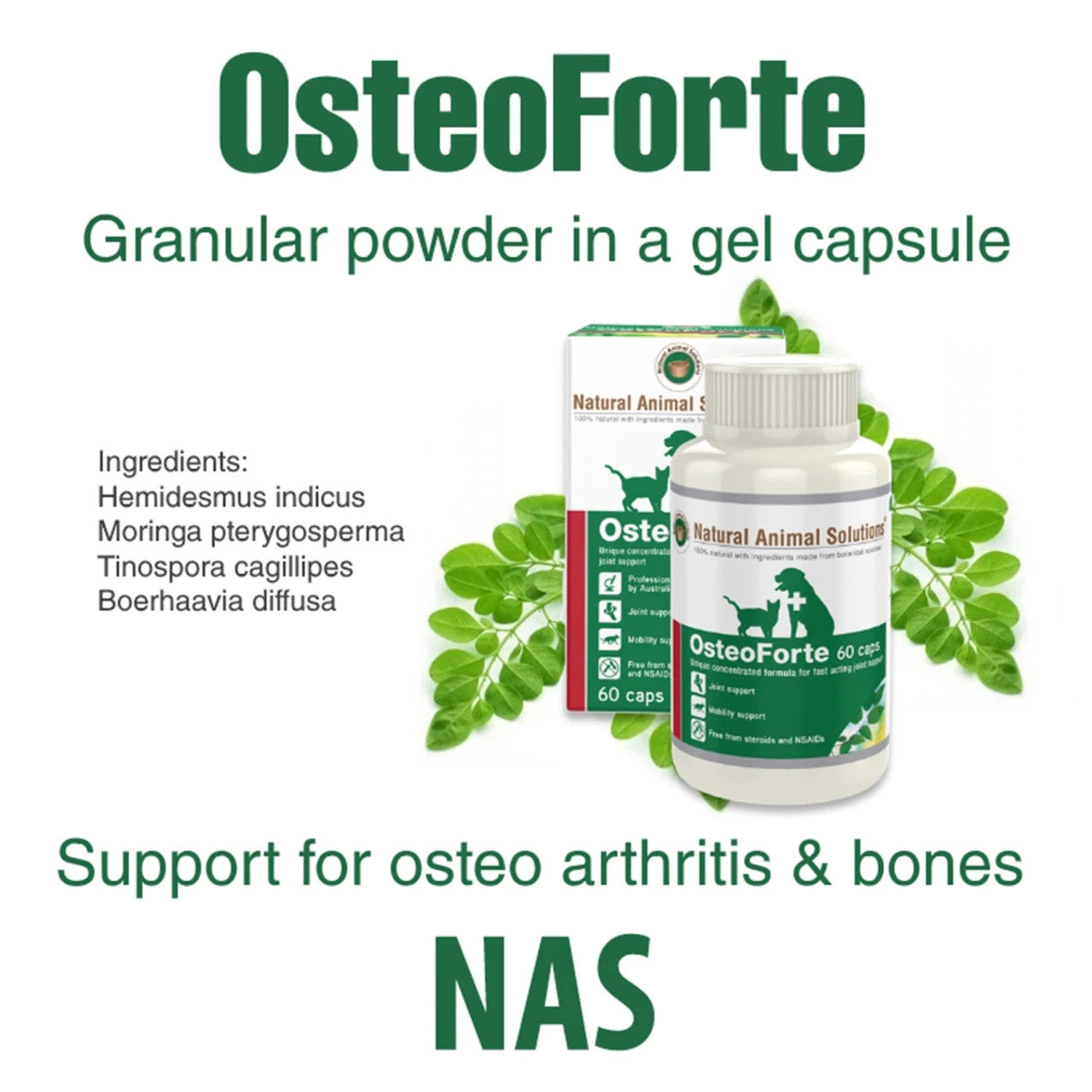 Natural Animal Solutions – OsteoForte