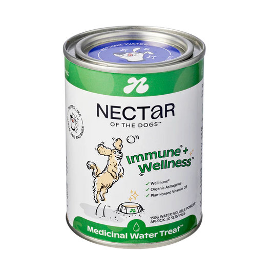Nectar of the Dogs