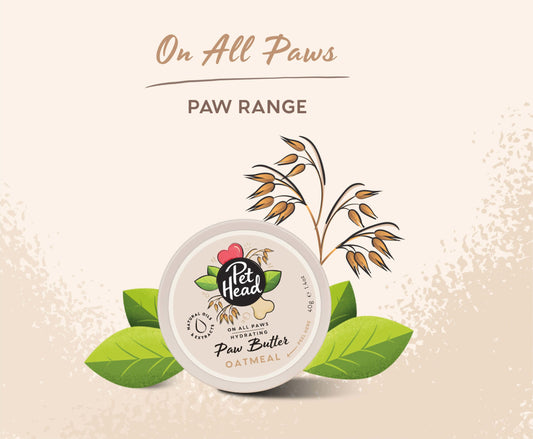 Pet Head - On All Paws