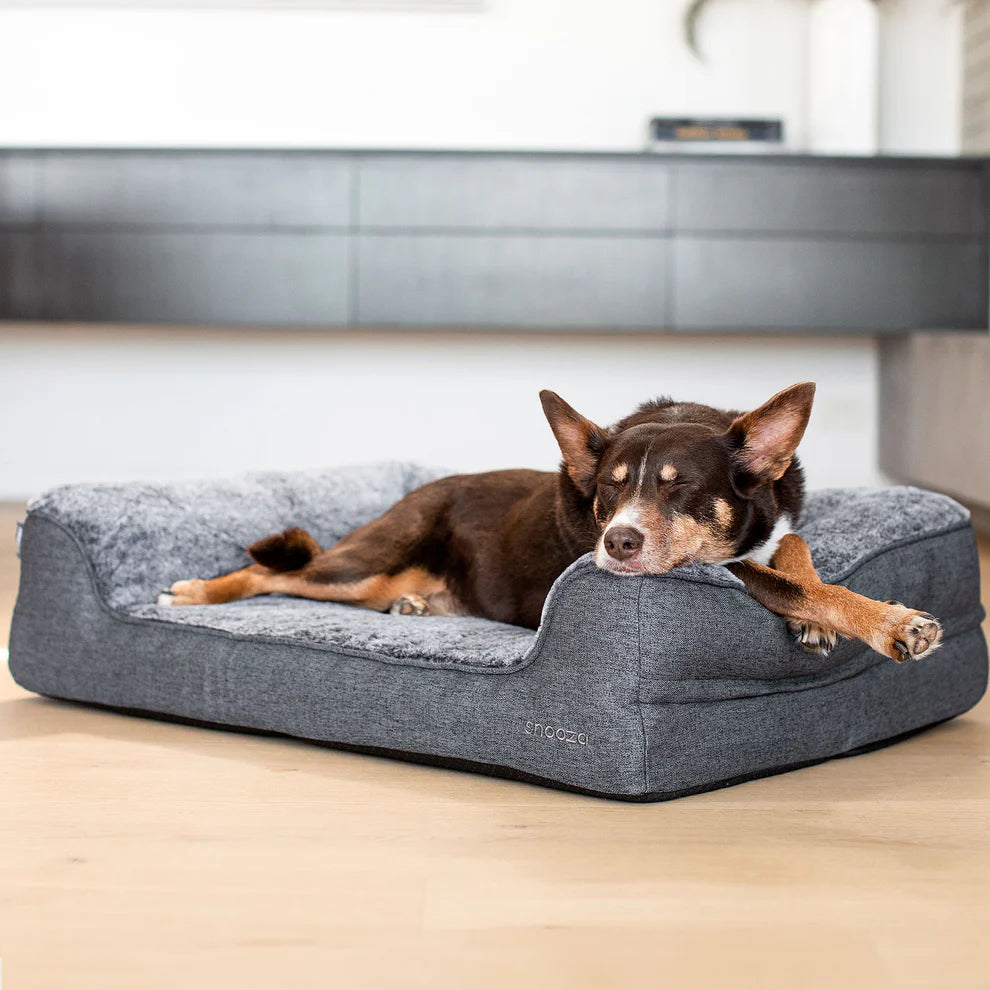 Snooza – Ortho Dream Sofa