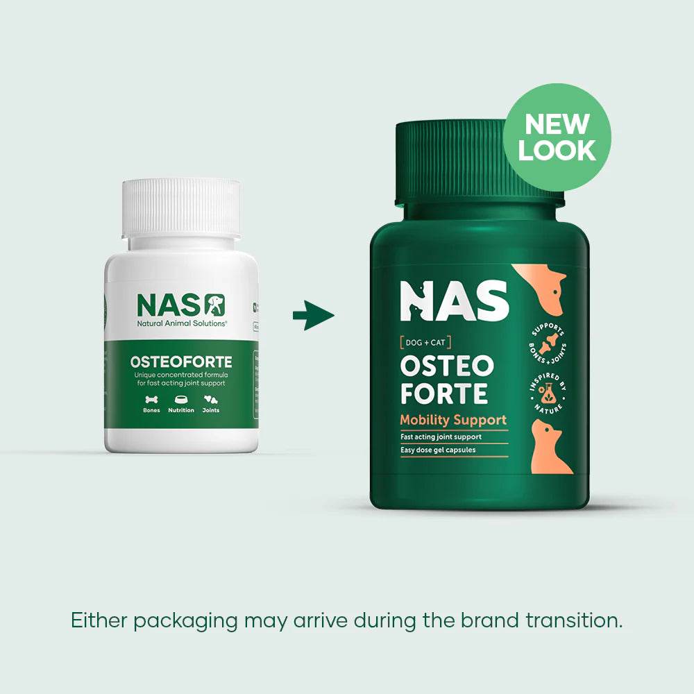 Natural Animal Solutions – OsteoForte