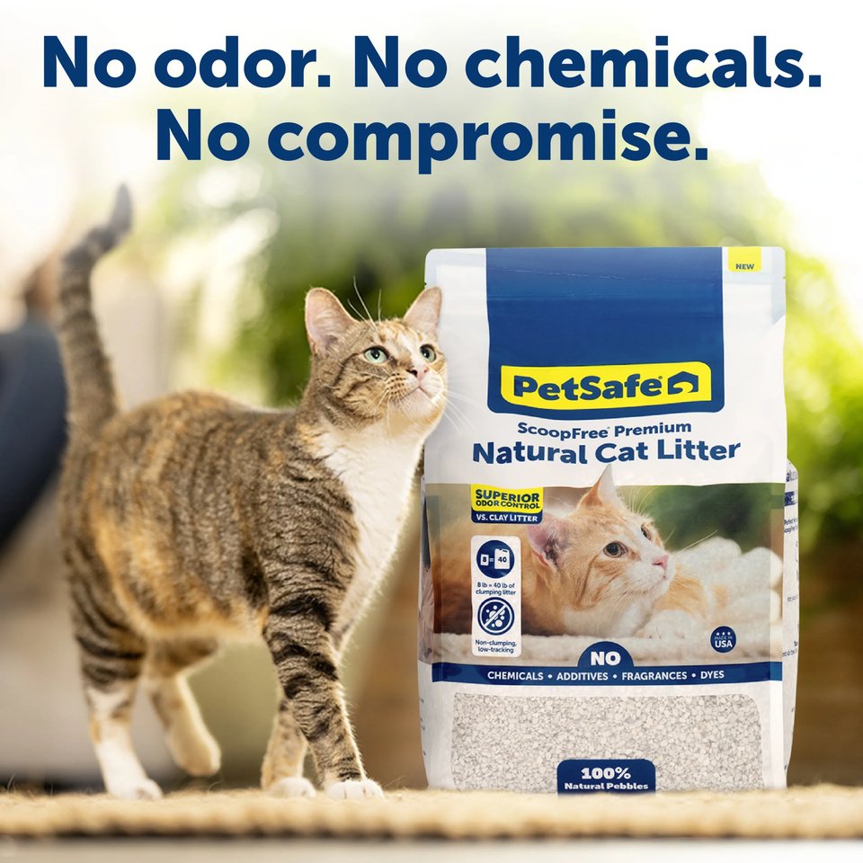 PetSafe – ScoopFree Premium Natural Cat Litter - Barkn Bargains